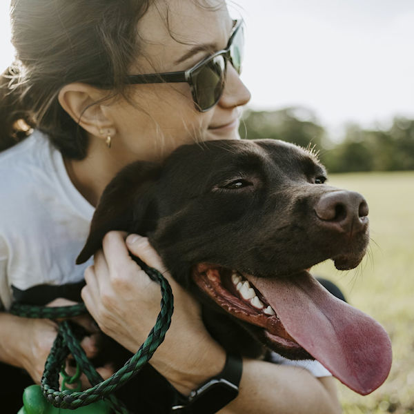 renting with pets